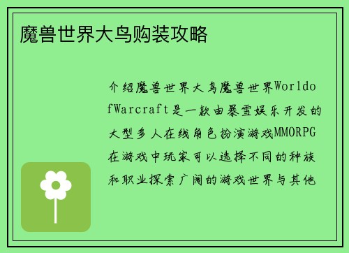 魔兽世界大鸟购装攻略