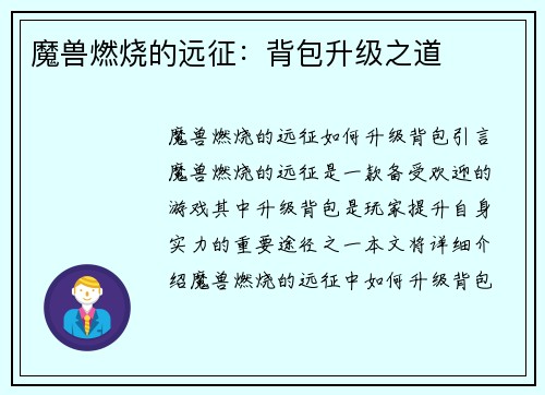 魔兽燃烧的远征：背包升级之道